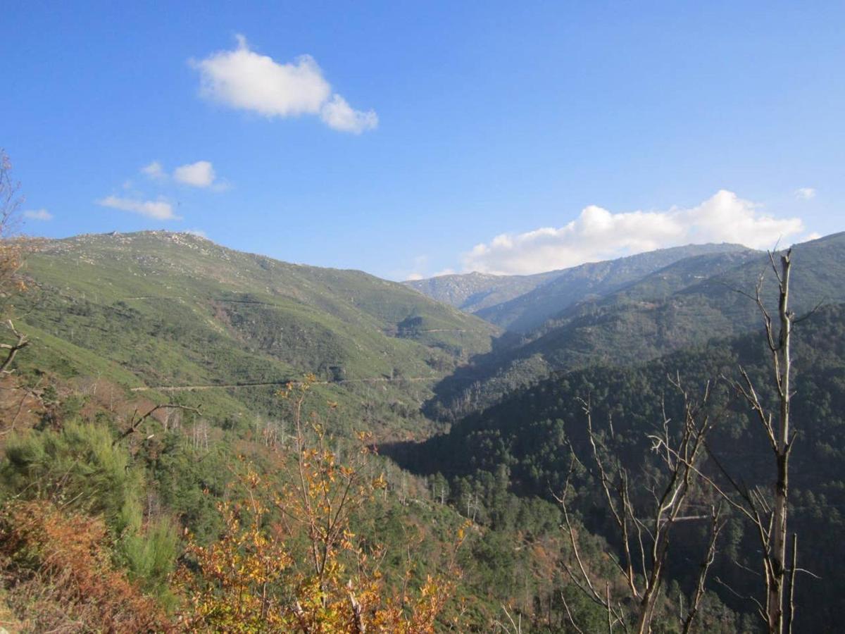 Casa Ferreira Βίλα Sabugueiro  Εξωτερικό φωτογραφία